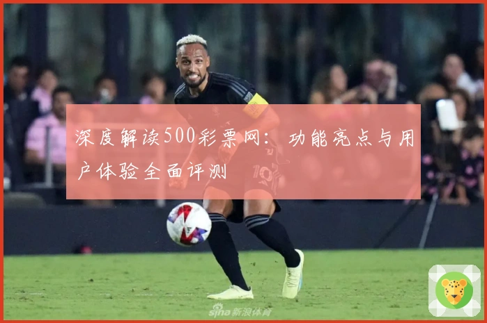 深度解读500彩票网：功能亮点与用户体验全面评测