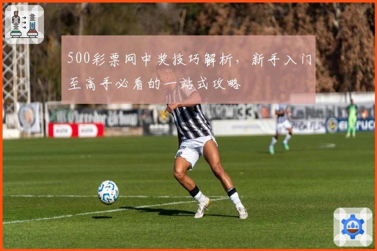 500彩票网中奖技巧解析，新手入门至高手必看的一站式攻略