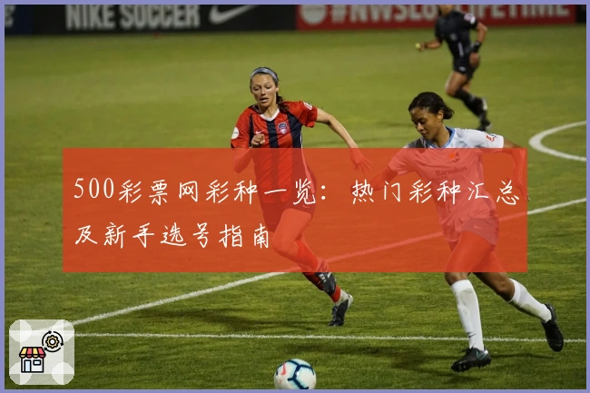 500彩票网彩种一览:热门彩种汇总及新手选号指南