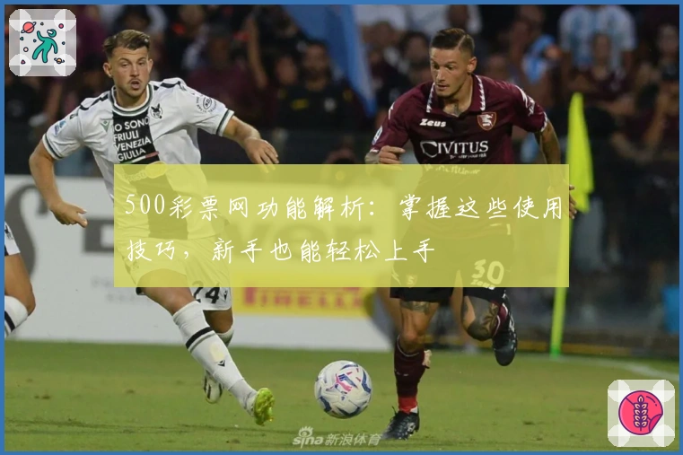 500彩票网功能解析：掌握这些使用技巧，新手也能轻松上手