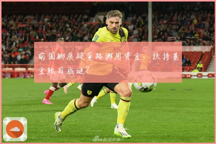 前国脚质疑董路挪用资金，扶持基金账目成谜？